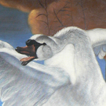 The Threatened Swan - Jan Asselijn - part 1